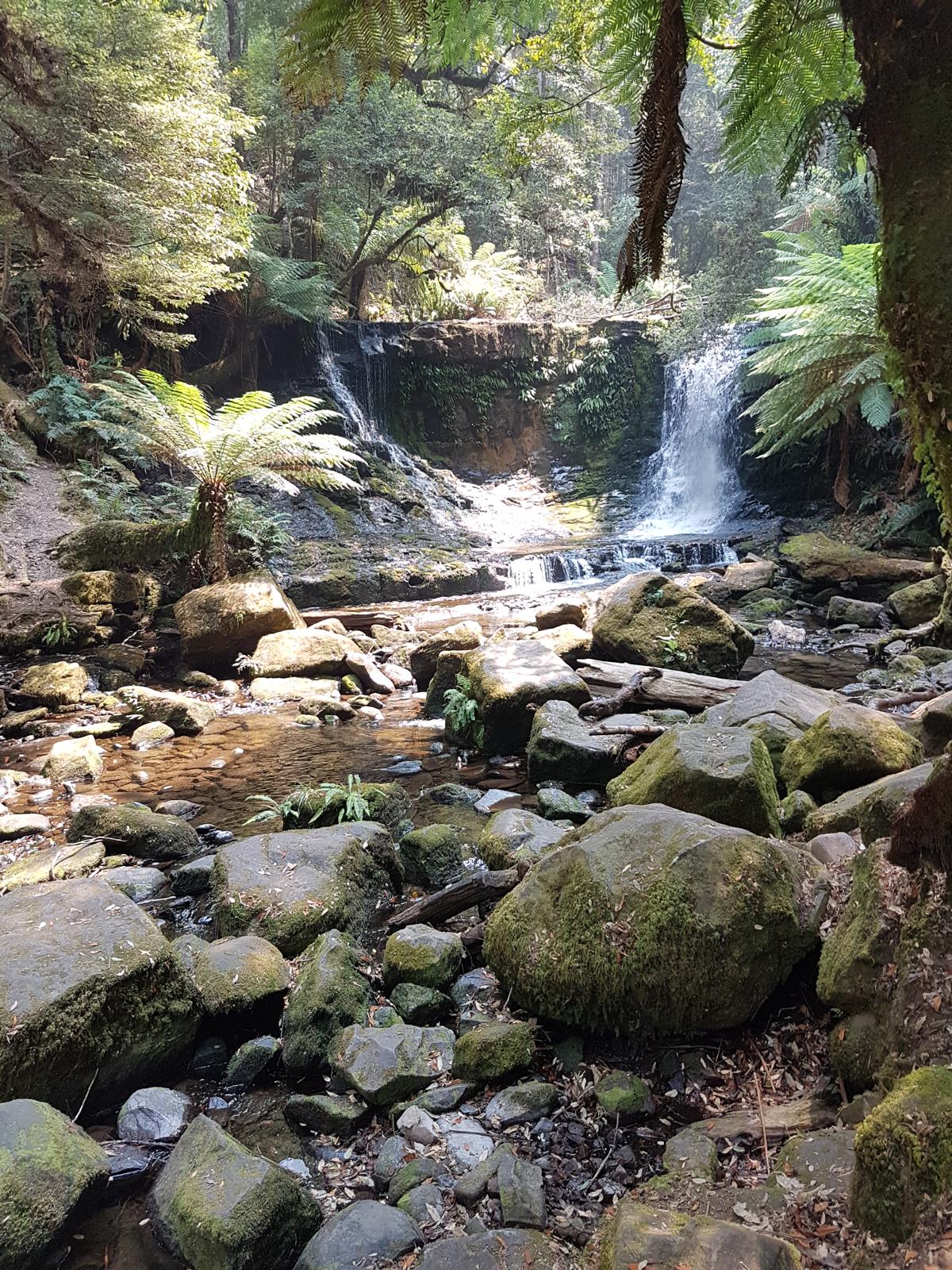 Environmental landscape